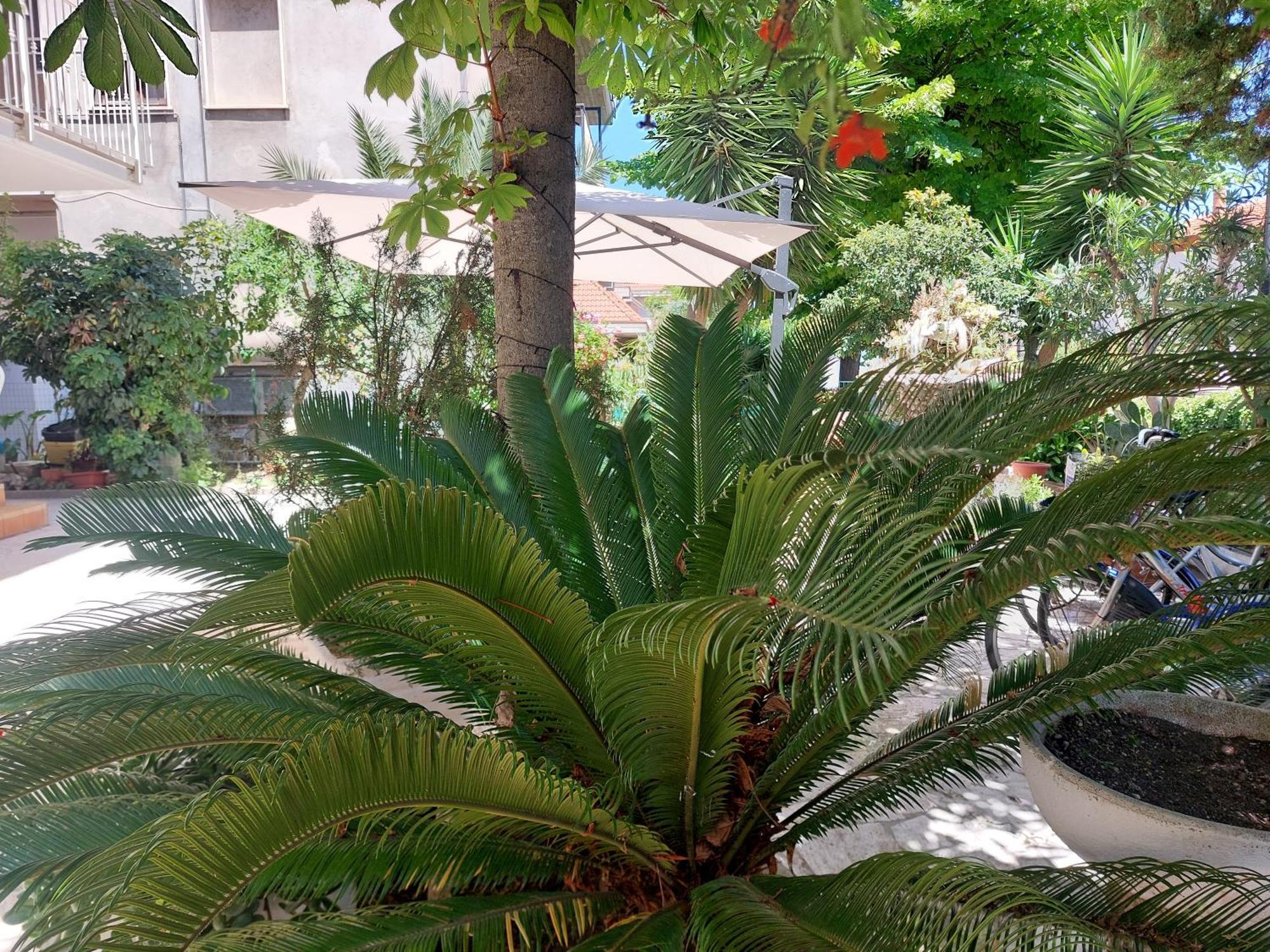 סן בנדטו דל טרנטו B&B La Fontanella מראה חיצוני תמונה
